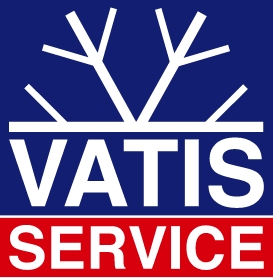 Vatis Tech Digital Marketing Project